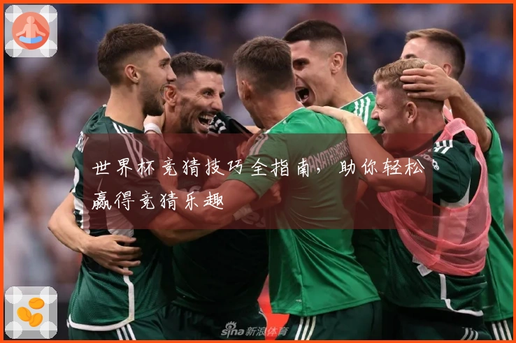 世界杯竞猜技巧全指南，助你轻松赢得竞猜乐趣