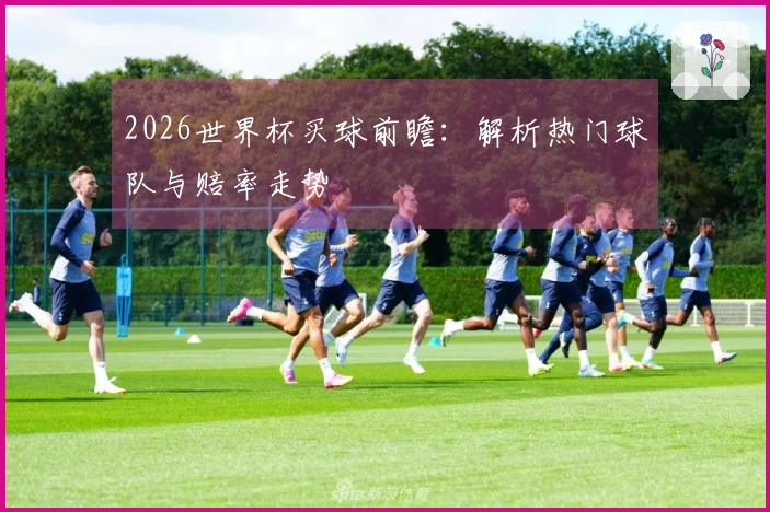 2026世界杯买球前瞻：解析热门球队与赔率走势