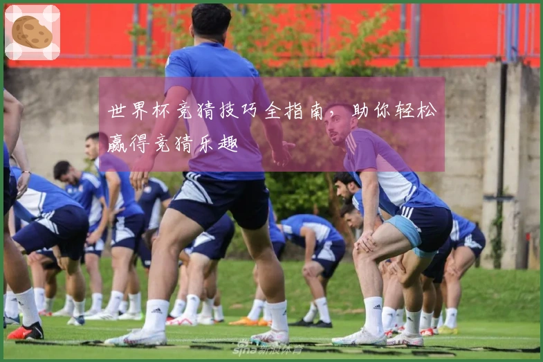 世界杯竞猜技巧全指南，助你轻松赢得竞猜乐趣