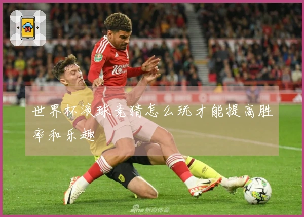 世界杯滚球竞猜怎么玩才能提高胜率和乐趣