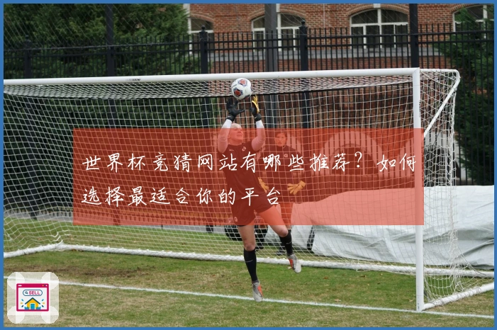 世界杯竞猜网站有哪些推荐？如何选择最适合你的平台
