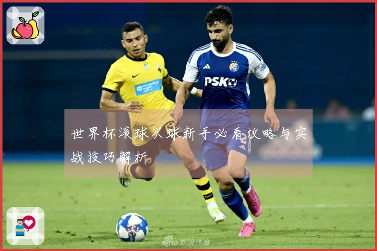 世界杯滚球买球新手必看攻略与实战技巧解析