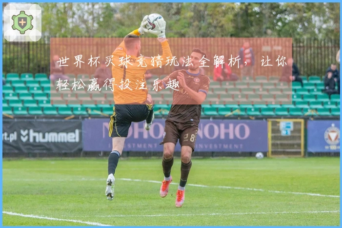 世界杯买球竞猜玩法全解析，让你轻松赢得投注乐趣