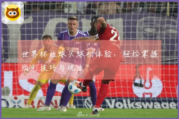 世界杯让球买球初体验，轻松掌握购彩技巧与玩法