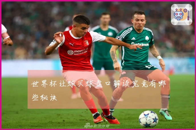 世界杯让球买球盘口解读究竟有哪些秘诀